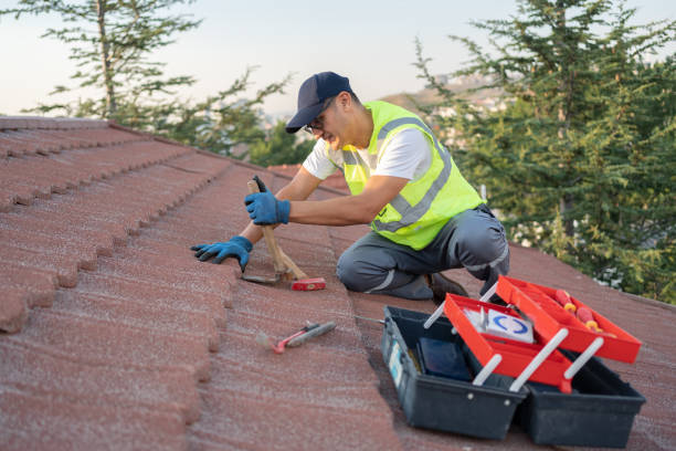 Professional Roofing Contractor in Wauna, WA